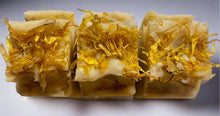 Load image into Gallery viewer, Calendula
